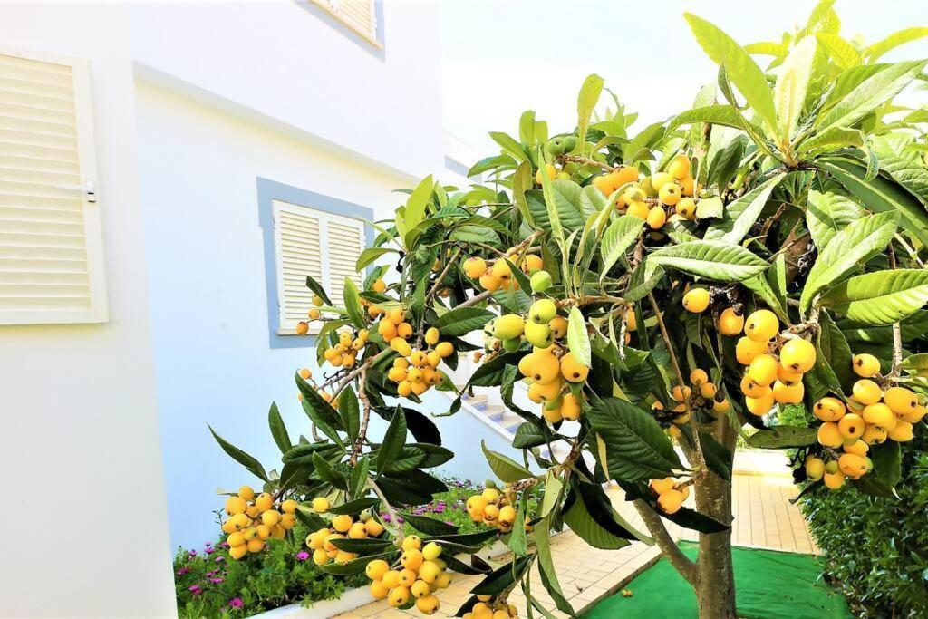 Vila Ventura Marina Албуфейра Екстериор снимка